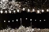Arte Chorale
