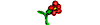 red flower