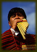 Nestor Tintaya