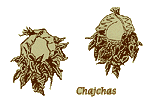 Chajchas